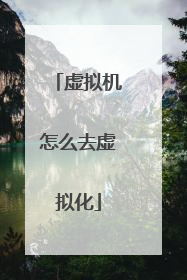 虚拟机怎么去虚拟化