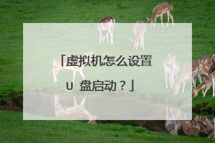 虚拟机怎么设置U 盘启动?