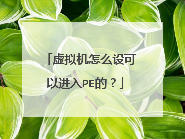 虚拟机怎么设可以进入PE的?