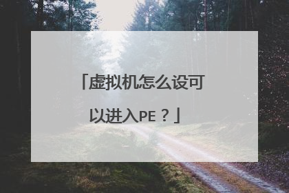 虚拟机怎么设可以进入PE?