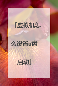 虚拟机怎么设置u盘启动