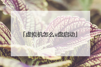 虚拟机怎么u盘启动