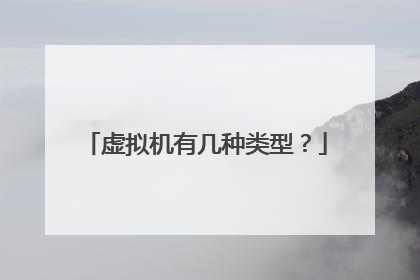 虚拟机有几种类型?