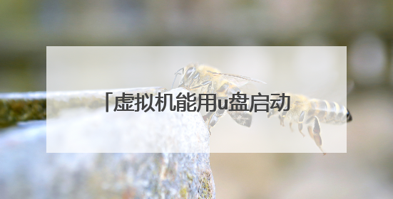 虚拟机能用u盘启动盘安装操作系统吗