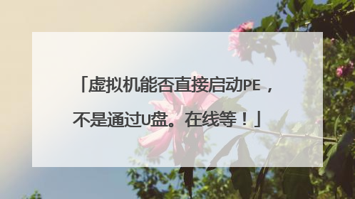 虚拟机能否直接启动PE,不是通过U盘。在线等!