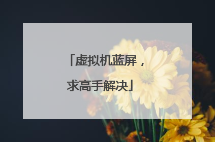 虚拟机蓝屏,求高手解决