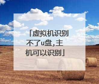 虚拟机识别不了u盘,主机可以识别