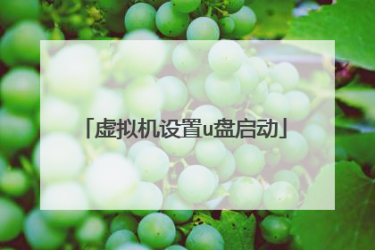 虚拟机设置u盘启动