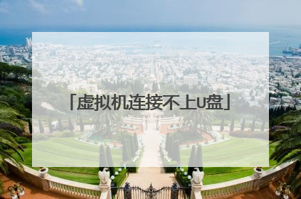 虚拟机连接不上U盘