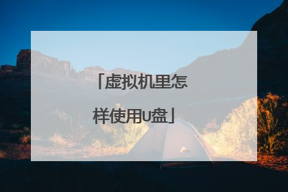 虚拟机里怎样使用U盘