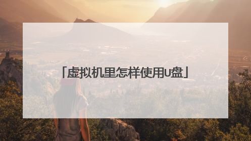 虚拟机里怎样使用U盘