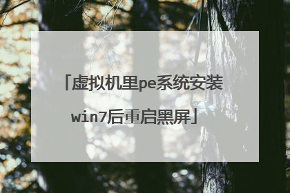 虚拟机里pe系统安装win7后重启黑屏