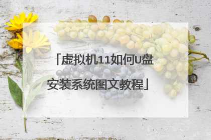 虚拟机11如何U盘安装系统图文教程