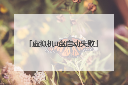 虚拟机U盘启动失败