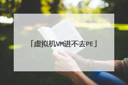 虚拟机VM进不去PE