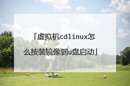 虚拟机cdlinux怎么按装镜像到u盘启动