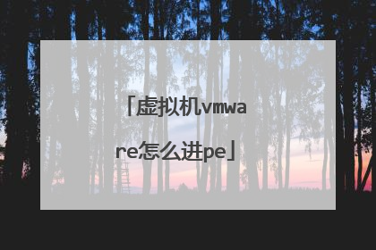 虚拟机vmware怎么进pe