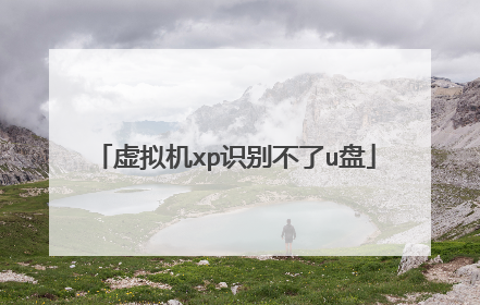 虚拟机xp识别不了u盘