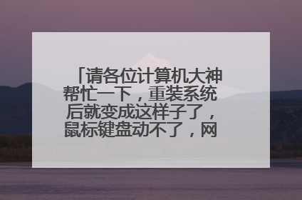 请各位计算机大神帮忙一下，重装系统后就变成这样子了，鼠标键盘动不了，网络也不能用？