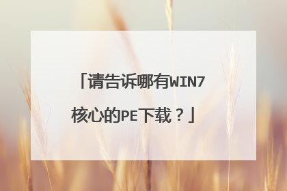 请告诉哪有WIN7核心的PE下载?