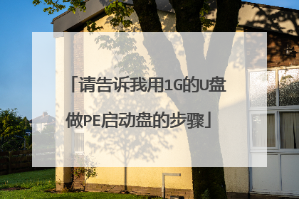 请告诉我用1G的U盘做PE启动盘的步骤