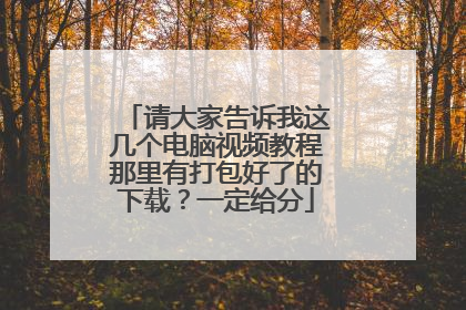 请大家告诉我这几个电脑视频教程那里有打包好了的下载?一定给分