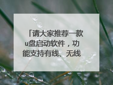 请大家推荐一款u盘启动软件，功能支持有线、无线的网络功能，进pe系统后支持下载系统镜像文件