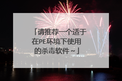 请推荐一个适于在PE环境下使用的杀毒软件～