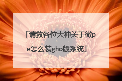 请救各位大神关于微pe怎么装gho版系统