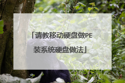 请教移动硬盘做PE 装系统硬盘做法
