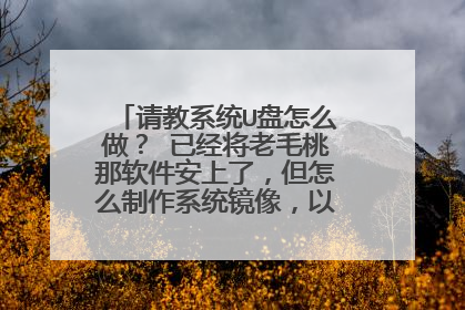 请教系统U盘怎么做？ 已经将老毛桃那软件安上了，但怎么制作系统镜像，以及具体怎样重装系统不懂。望赐教