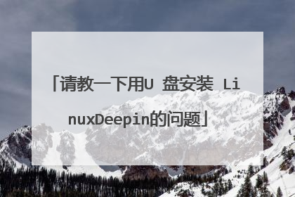 请教一下用U 盘安装 LinuxDeepin的问题