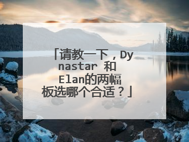请教一下,Dynastar 和 Elan的两幅板选哪个合适?