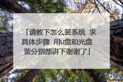 请教下怎么装系统 求具体步骤 用U盘和光盘装分别都讲下谢谢了
