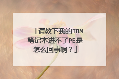请教下我的IBM笔记本进不了PE是怎么回事啊？