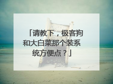 请教下,极客狗和大白菜那个装系统方便点?