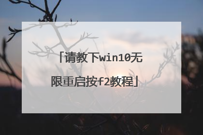 请教下win10无限重启按f2教程