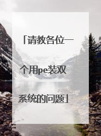 请教各位一个用pe装双系统的问题