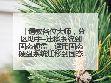 请教各位大师,分区助手—迁移系统到固态硬盘,适用固态硬盘系统迁移到固态硬盘吗?