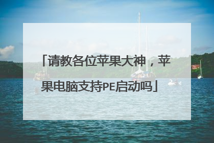 请教各位苹果大神，苹果电脑支持PE启动吗