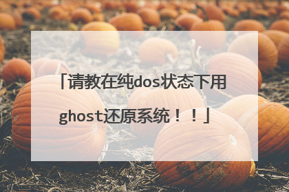 请教在纯dos状态下用ghost还原系统!!