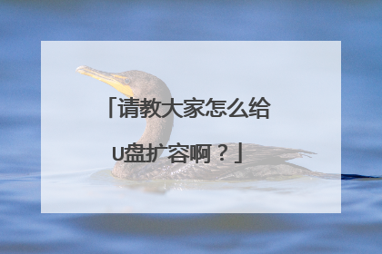 请教大家怎么给U盘扩容啊?