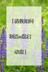 请教如何制造u盘启动盘