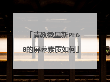 请教微星新PE60的屏幕素质如何