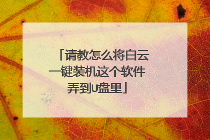 请教怎么将白云一键装机这个软件弄到U盘里