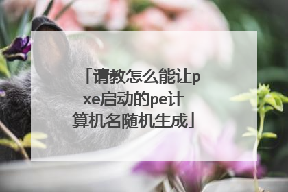 请教怎么能让pxe启动的pe计算机名随机生成