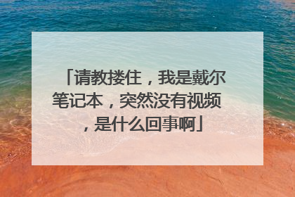 请教搂住,我是戴尔笔记本,突然没有视频,是什么回事啊