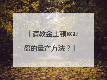 请教金士顿8GU盘的量产方法?