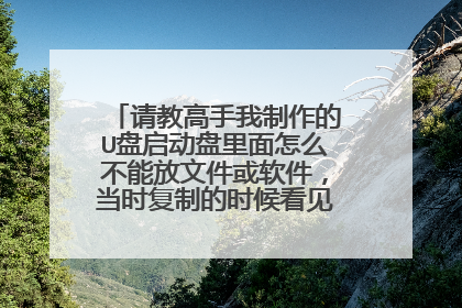 请教高手我制作的U盘启动盘里面怎么不能放文件或软件，当时复制的时候看见在里面，换太电脑后就是空文件夹