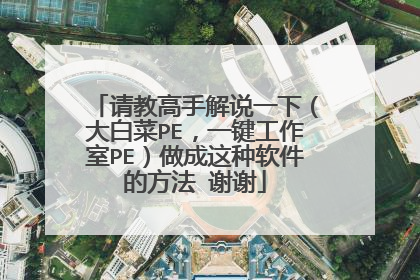 请教高手解说一下（大白菜PE，一键工作室PE）做成这种软件的方法 谢谢